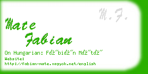 mate fabian business card